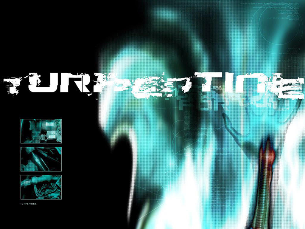  размер изображения 1024 x 768 